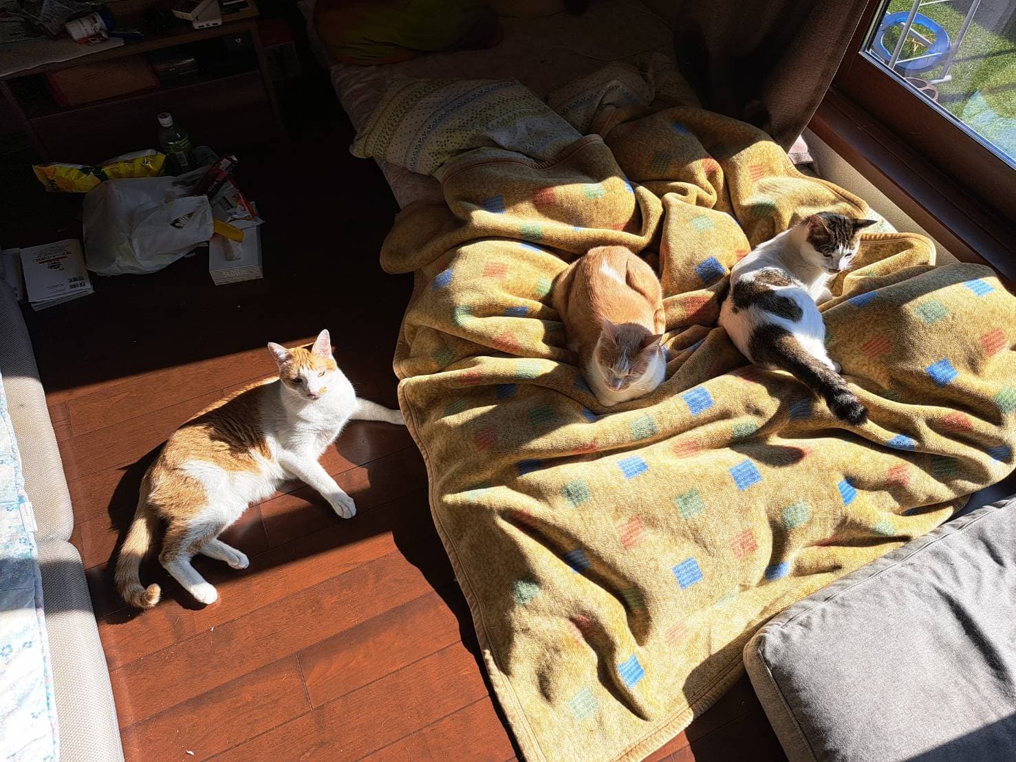 お気に入り 3