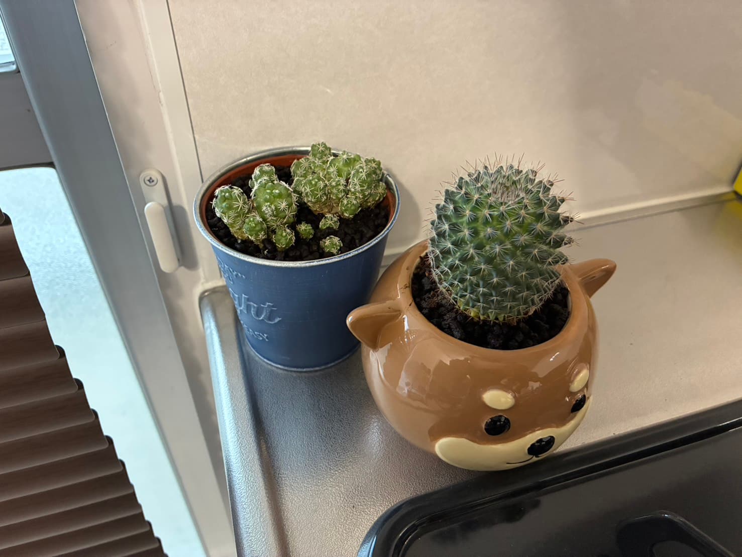 お気に入り 3